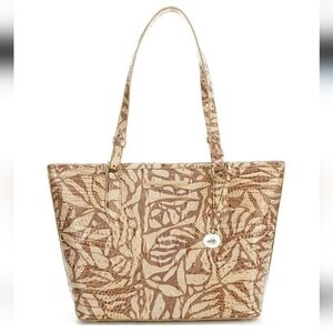 Brahmin Asher Tote Stepping Stone